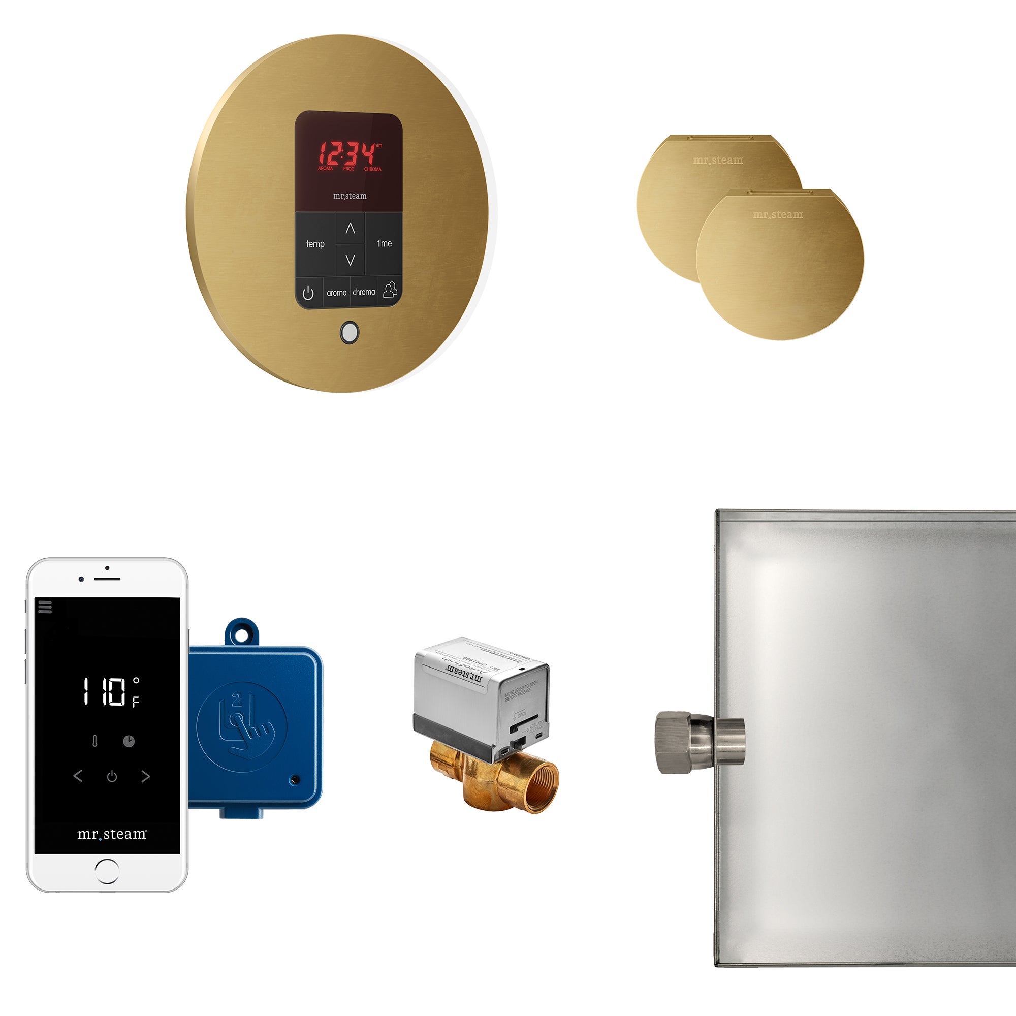 Mr Steam Butler Max Steam Shower Control Package with iTempoPlus Control and Aroma Designer SteamHead