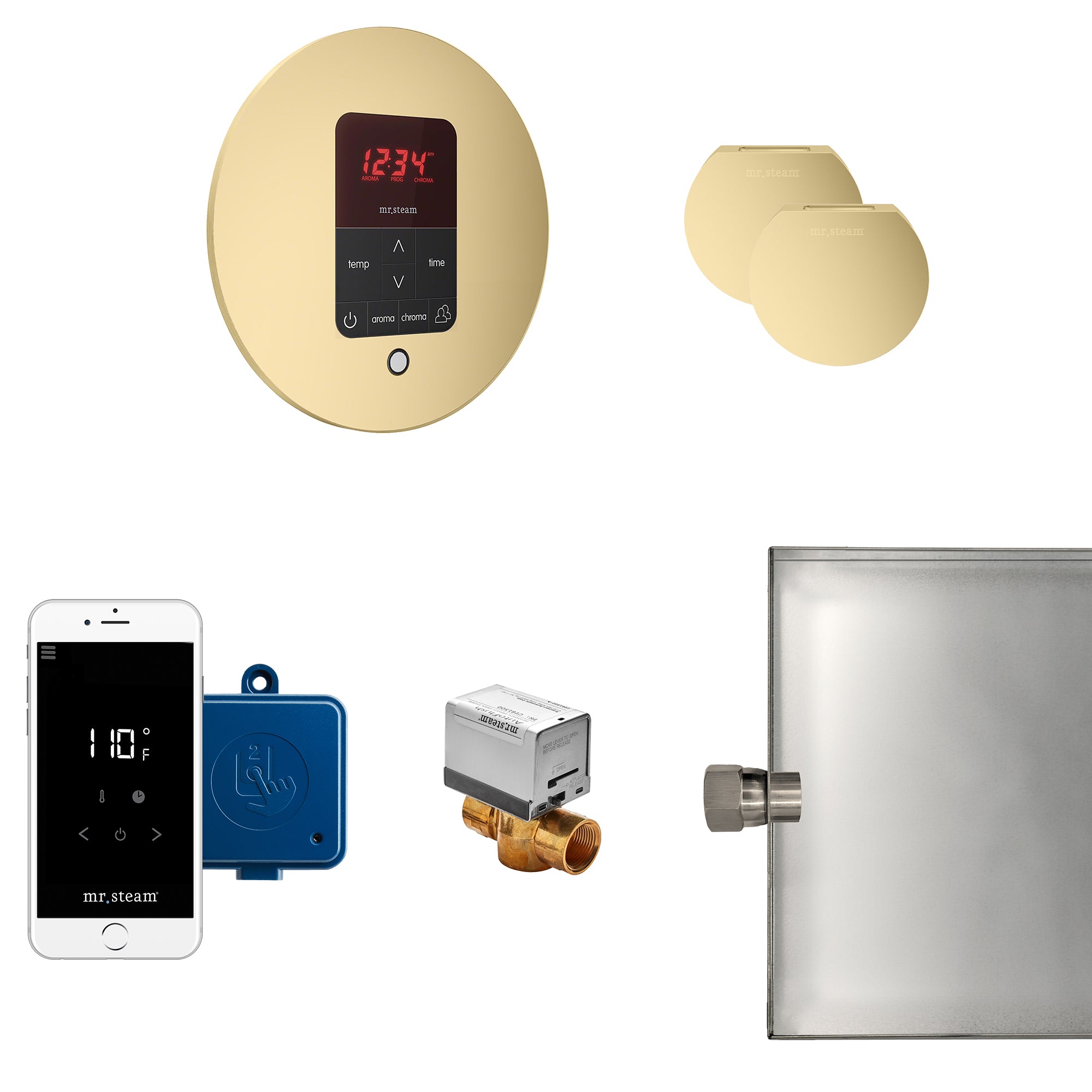 Mr Steam Butler Max Steam Shower Control Package with iTempoPlus Control and Aroma Designer SteamHead