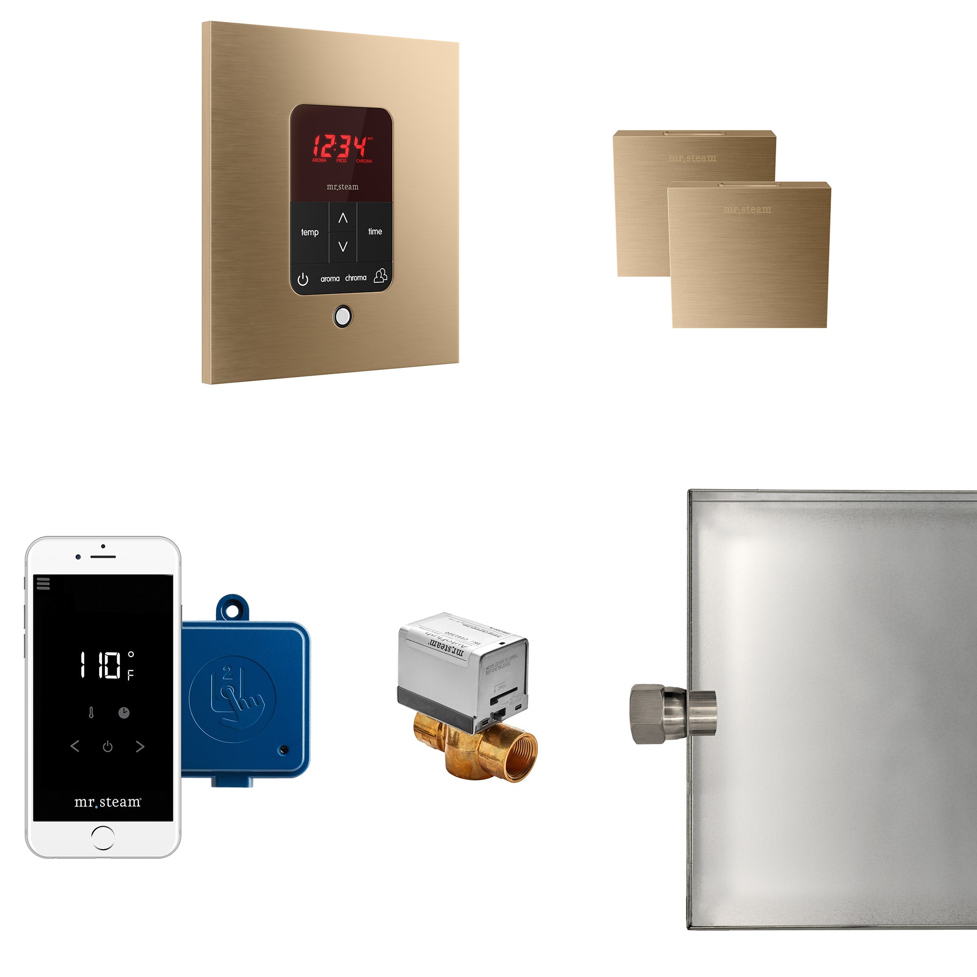 Mr Steam Butler Max Steam Shower Control Package with iTempoPlus Control and Aroma Designer SteamHead