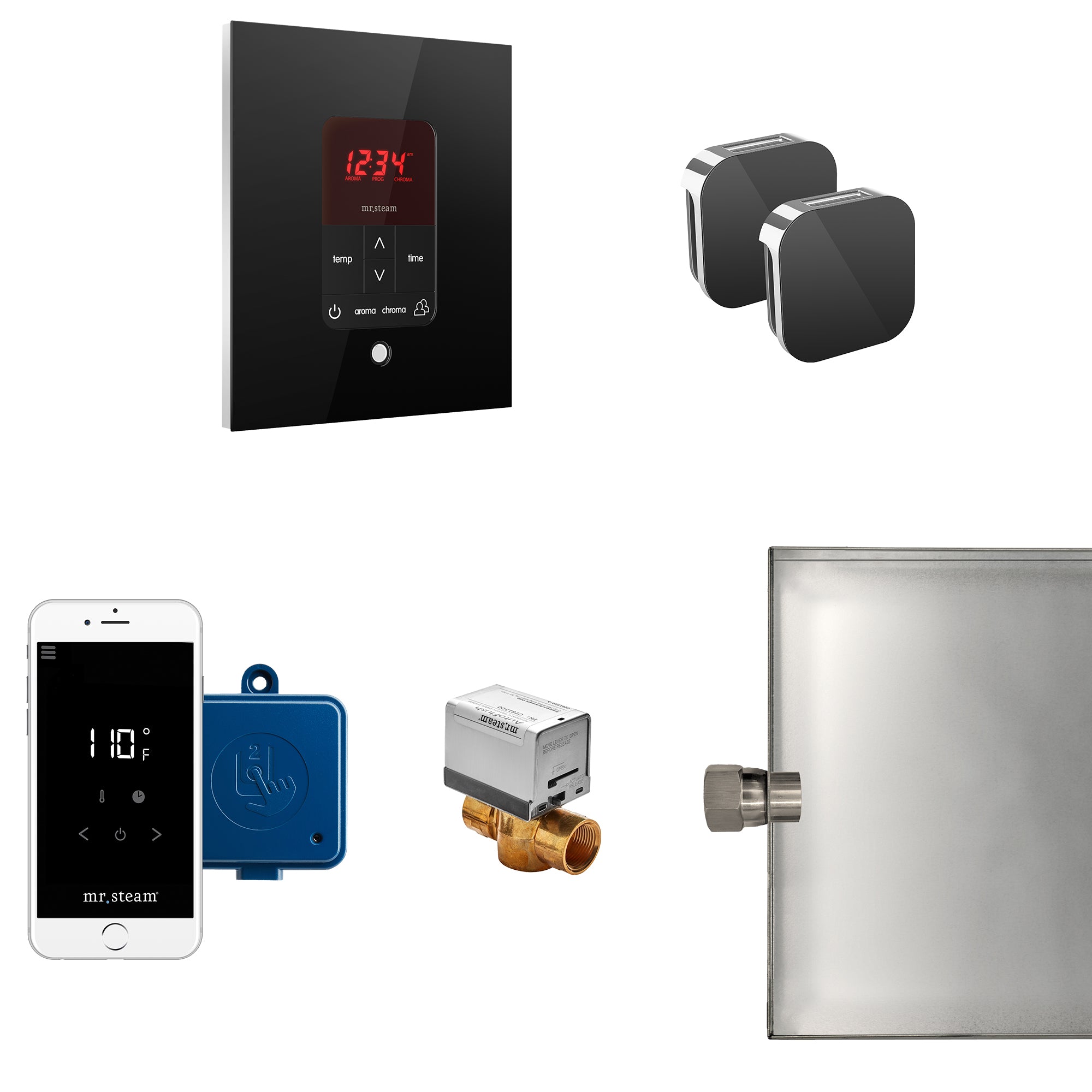 Mr Steam Butler Max Steam Shower Control Package with iTempoPlus Control and Aroma Designer SteamHead