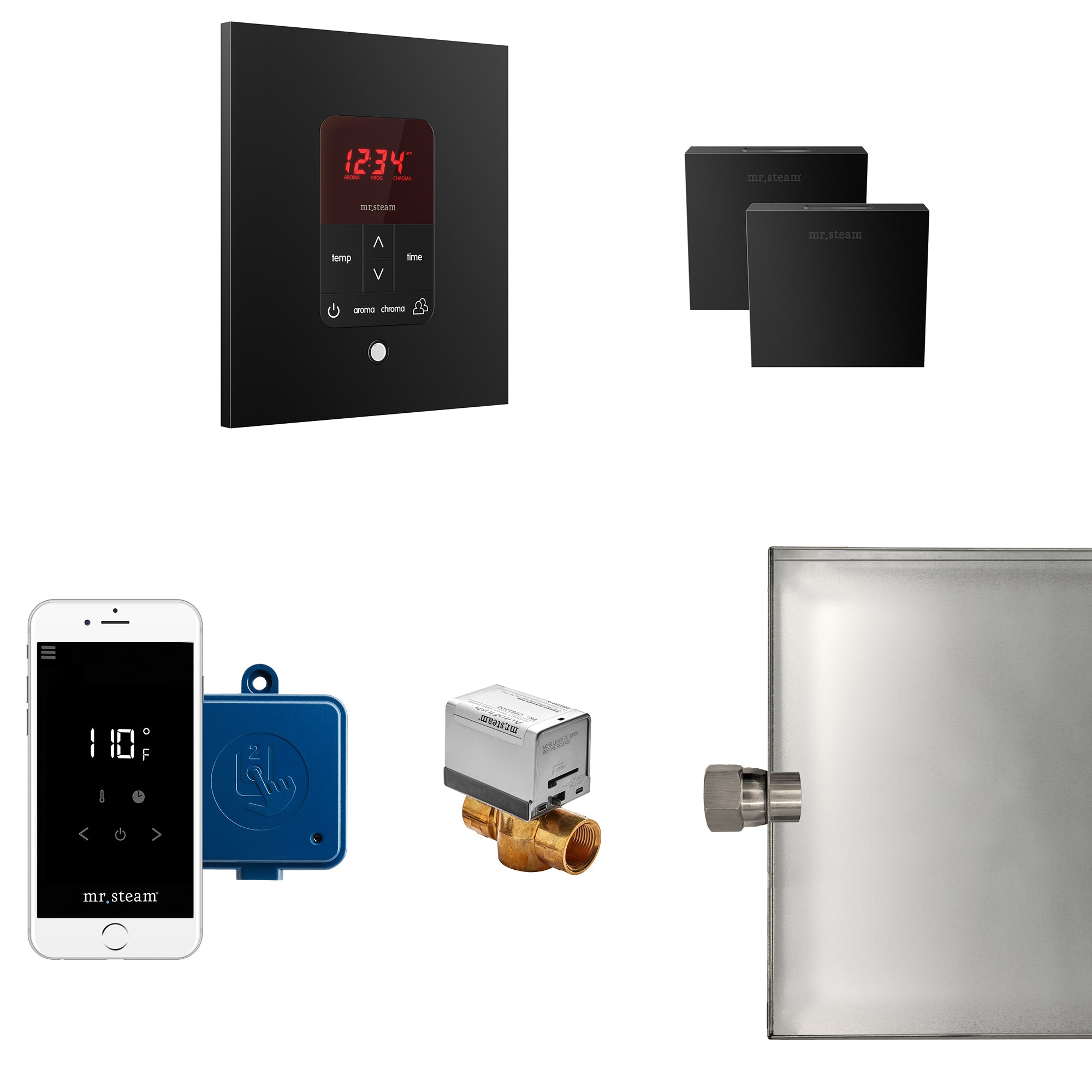 Mr Steam Butler Max Steam Shower Control Package with iTempoPlus Control and Aroma Designer SteamHead