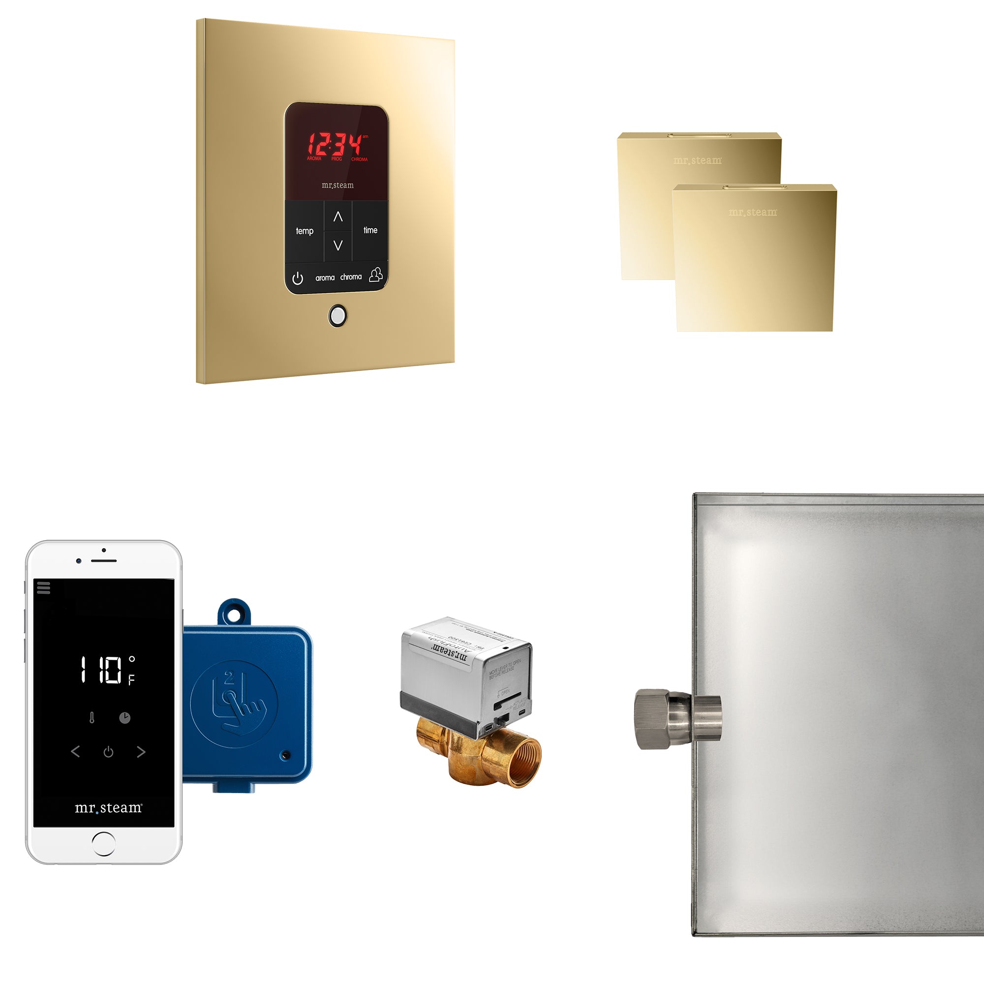 Mr Steam Butler Max Steam Shower Control Package with iTempoPlus Control and Aroma Designer SteamHead