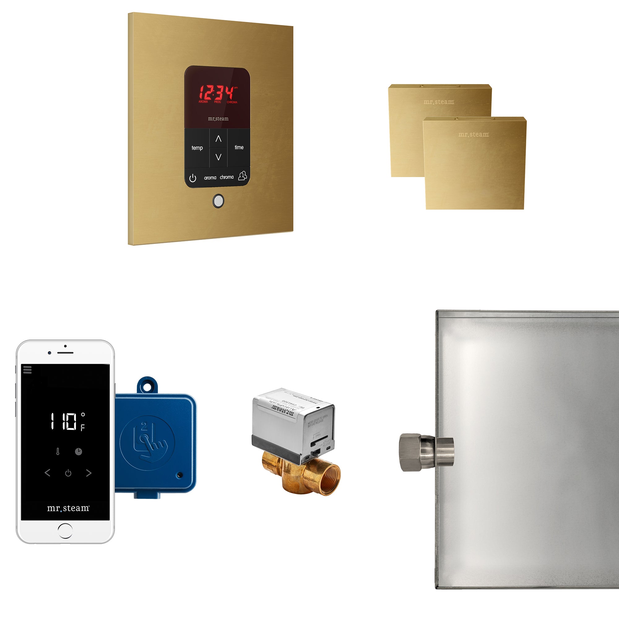 Mr Steam Butler Max Steam Shower Control Package with iTempoPlus Control and Aroma Designer SteamHead