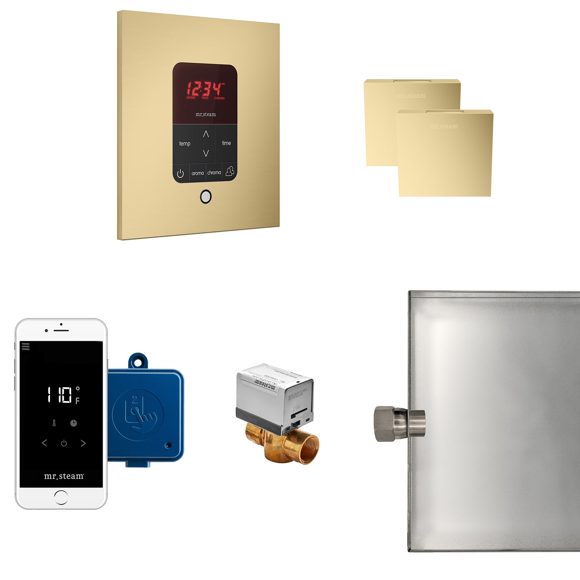 Mr Steam Butler Max Steam Shower Control Package with iTempoPlus Control and Aroma Designer SteamHead