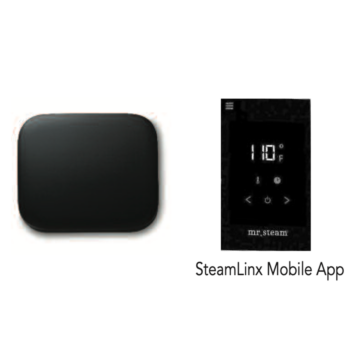 Mr Steam xButler Steam Shower Package