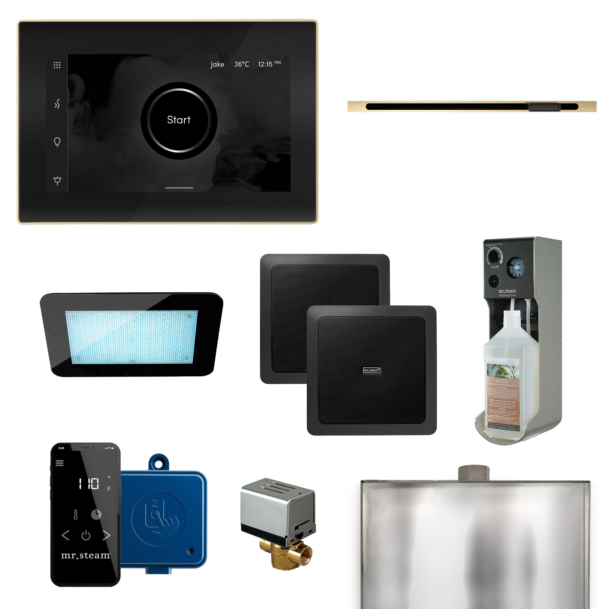 Mr Steam XDream Linear Programmable Steam Generator Control Kit with iSteamX Control and Linear Steamhead