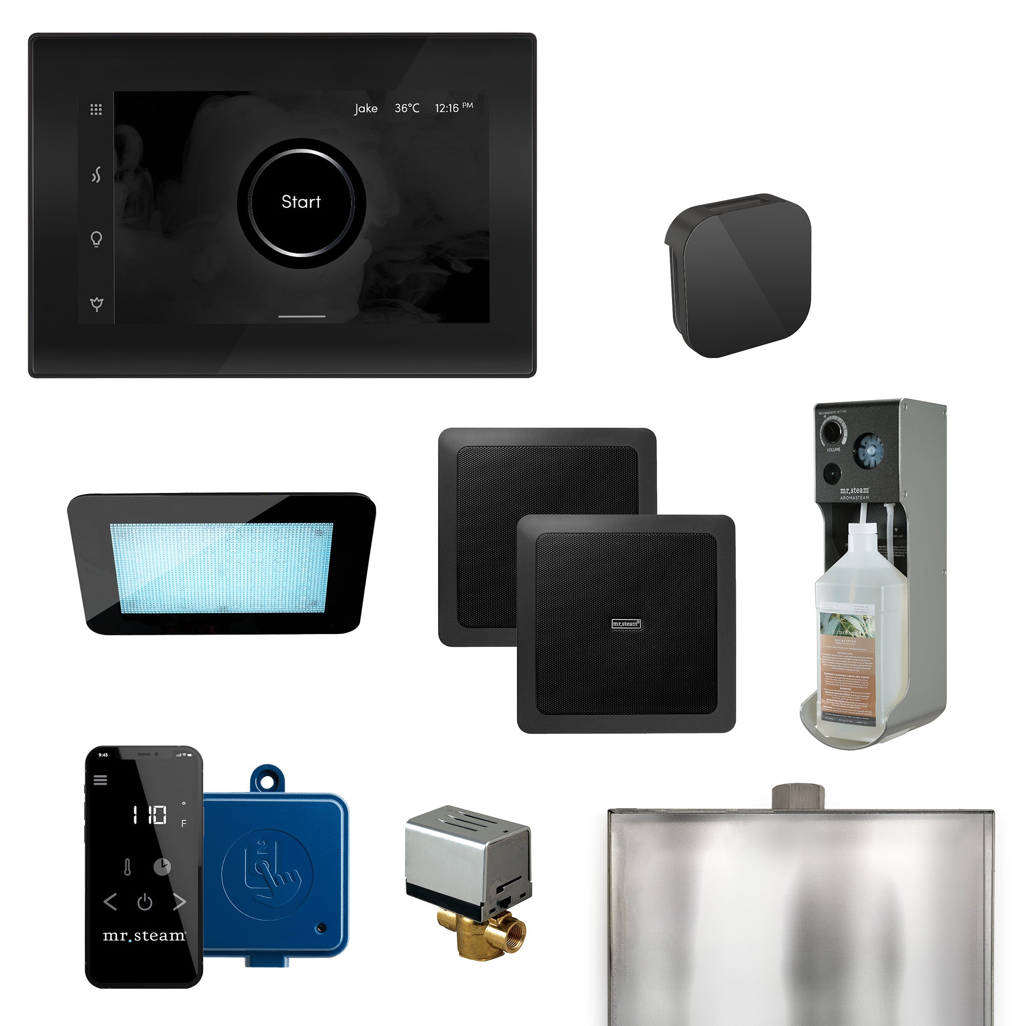 Mr Steam XDream Programmable Steam Generator Control Kit with iSteamX Control and Aroma Glass Steamhead
