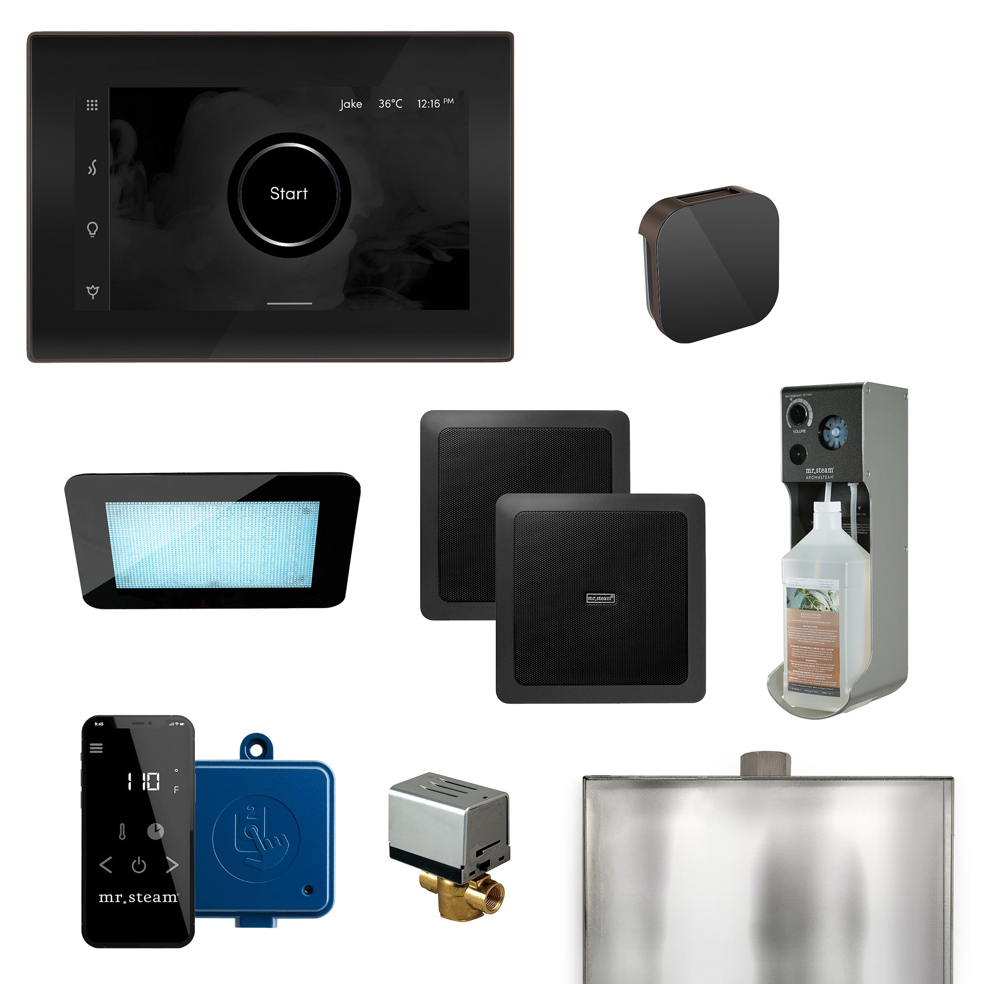 Mr Steam XDream Programmable Steam Generator Control Kit with iSteamX Control and Aroma Glass Steamhead