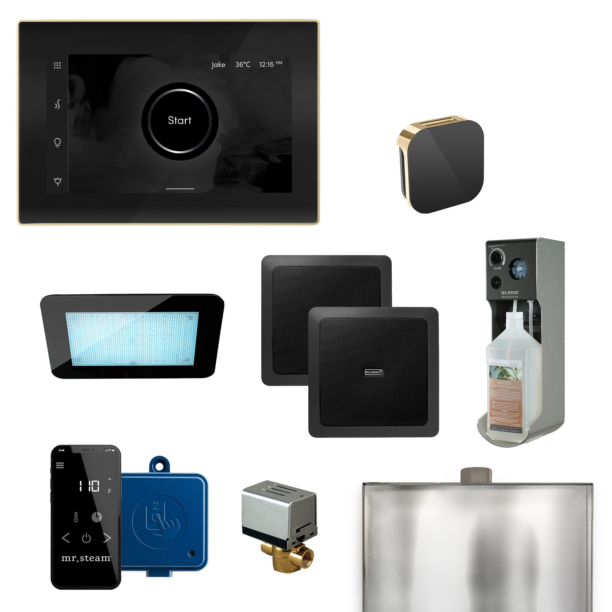 Mr Steam XDream Programmable Steam Generator Control Kit with iSteamX Control and Aroma Glass Steamhead