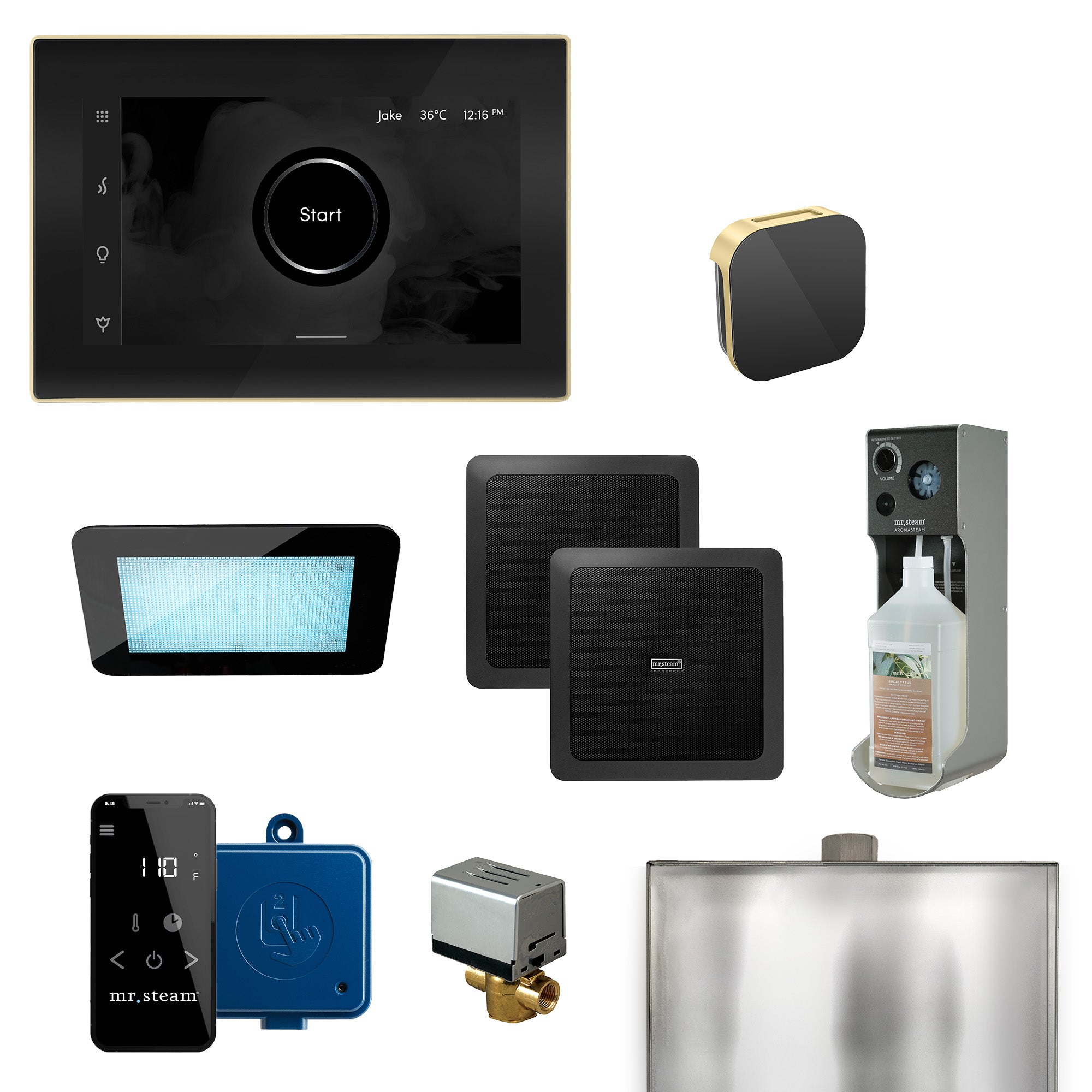 Mr Steam XDream Programmable Steam Generator Control Kit with iSteamX Control and Aroma Glass Steamhead
