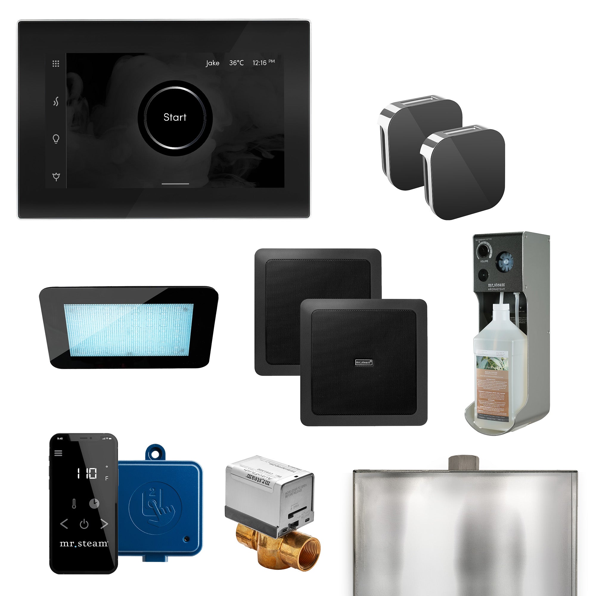 Mr Steam XDream Max Programmable Steam Generator Control Kit with iSteamX Control and Aroma Glass Steamhead