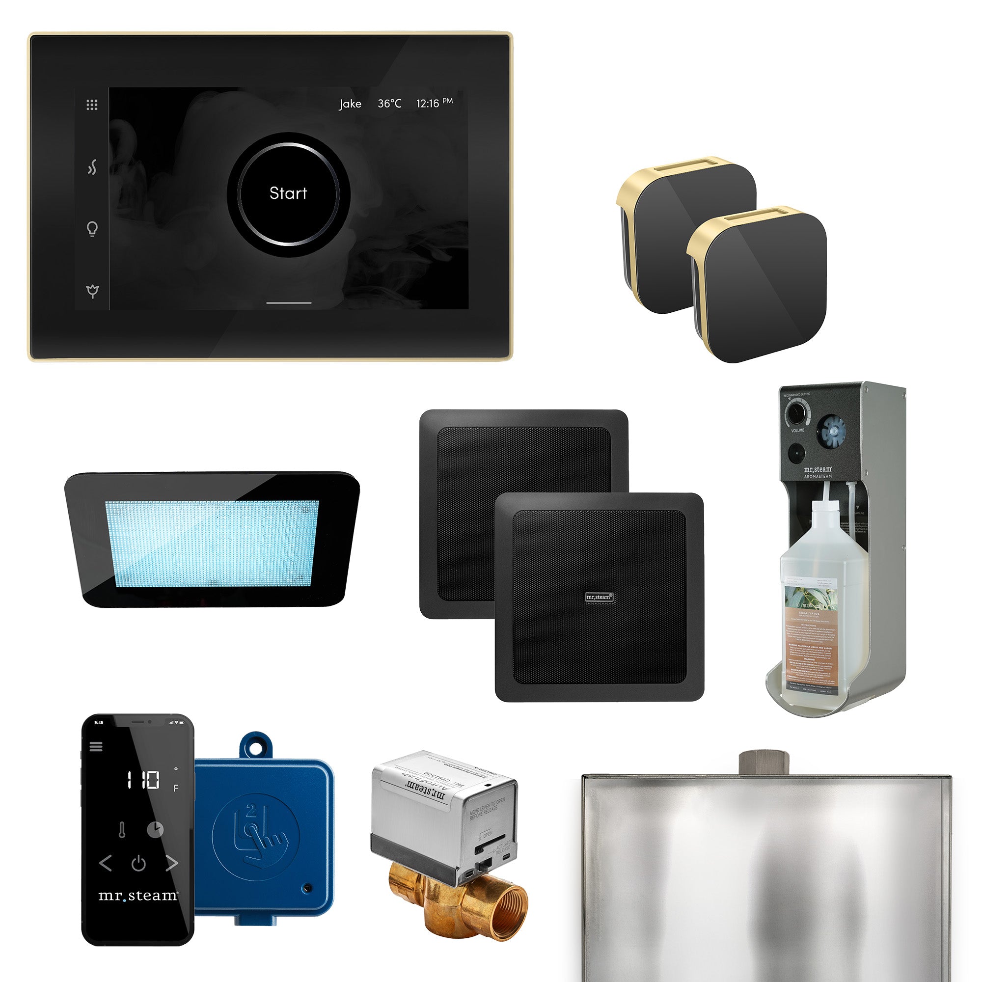 Mr Steam XDream Max Programmable Steam Generator Control Kit with iSteamX Control and Aroma Glass Steamhead