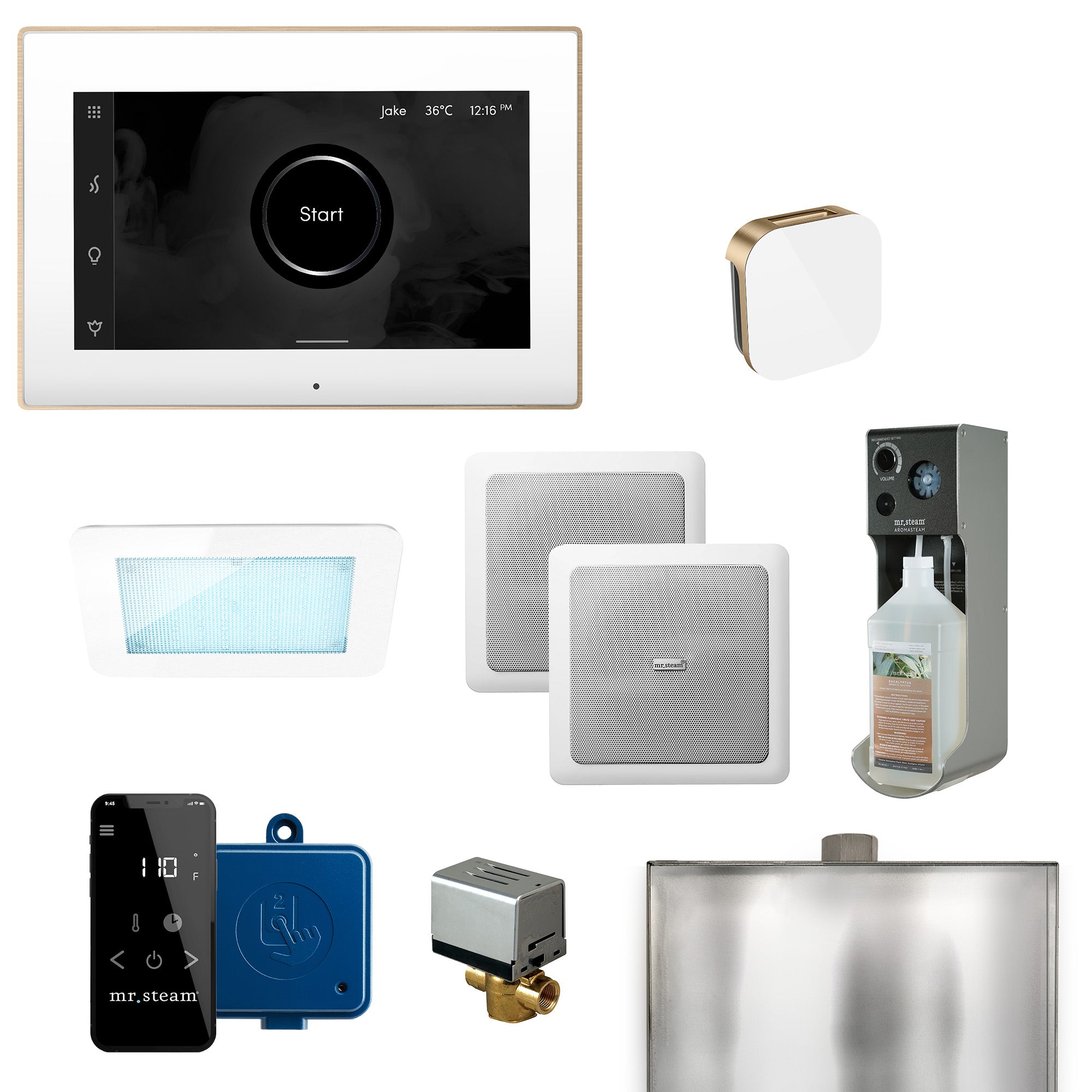 Mr Steam XDream Programmable Steam Generator Control Kit with iSteamX Control and Aroma Glass Steamhead