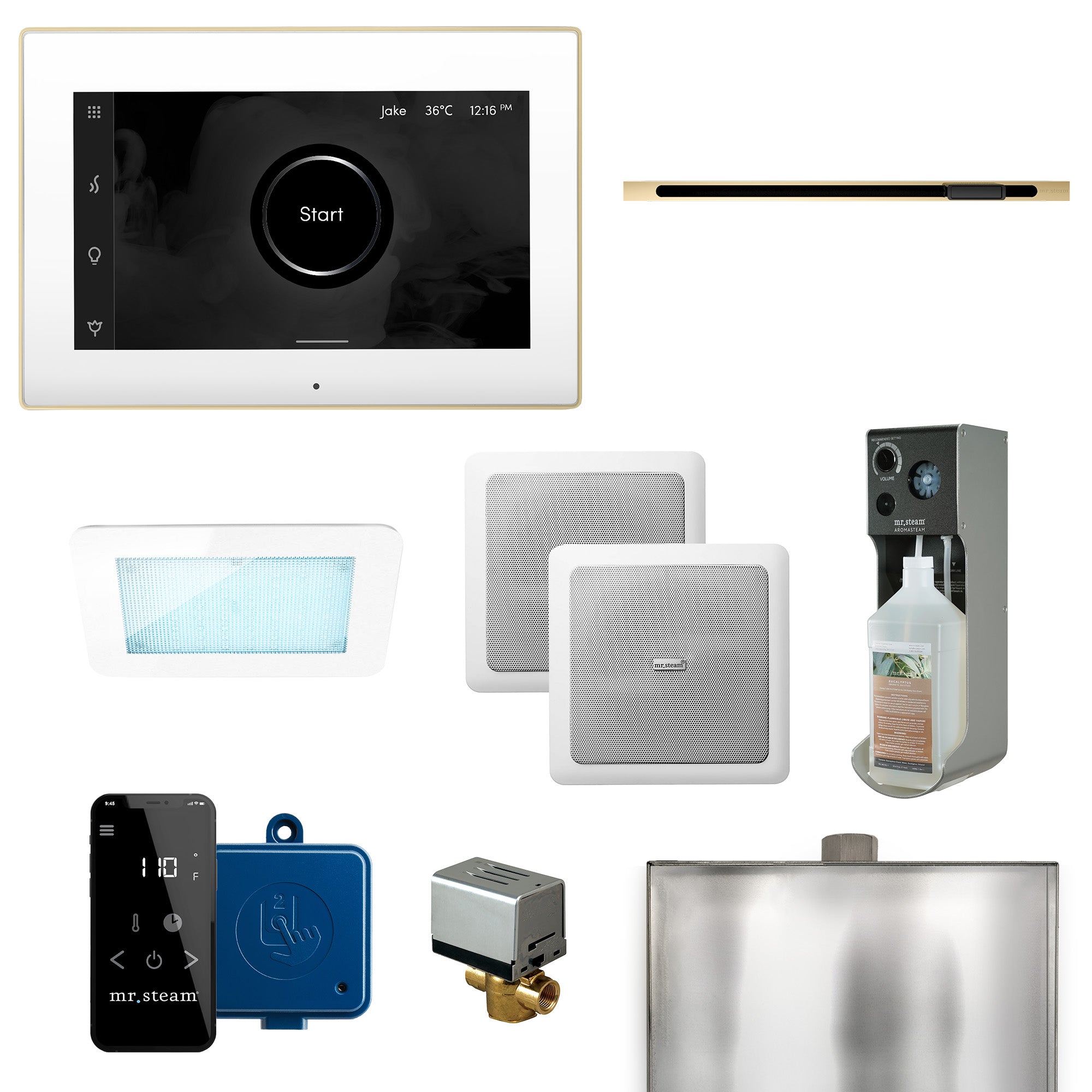 Mr Steam XDream Linear Programmable Steam Generator Control Kit with iSteamX Control and Linear Steamhead