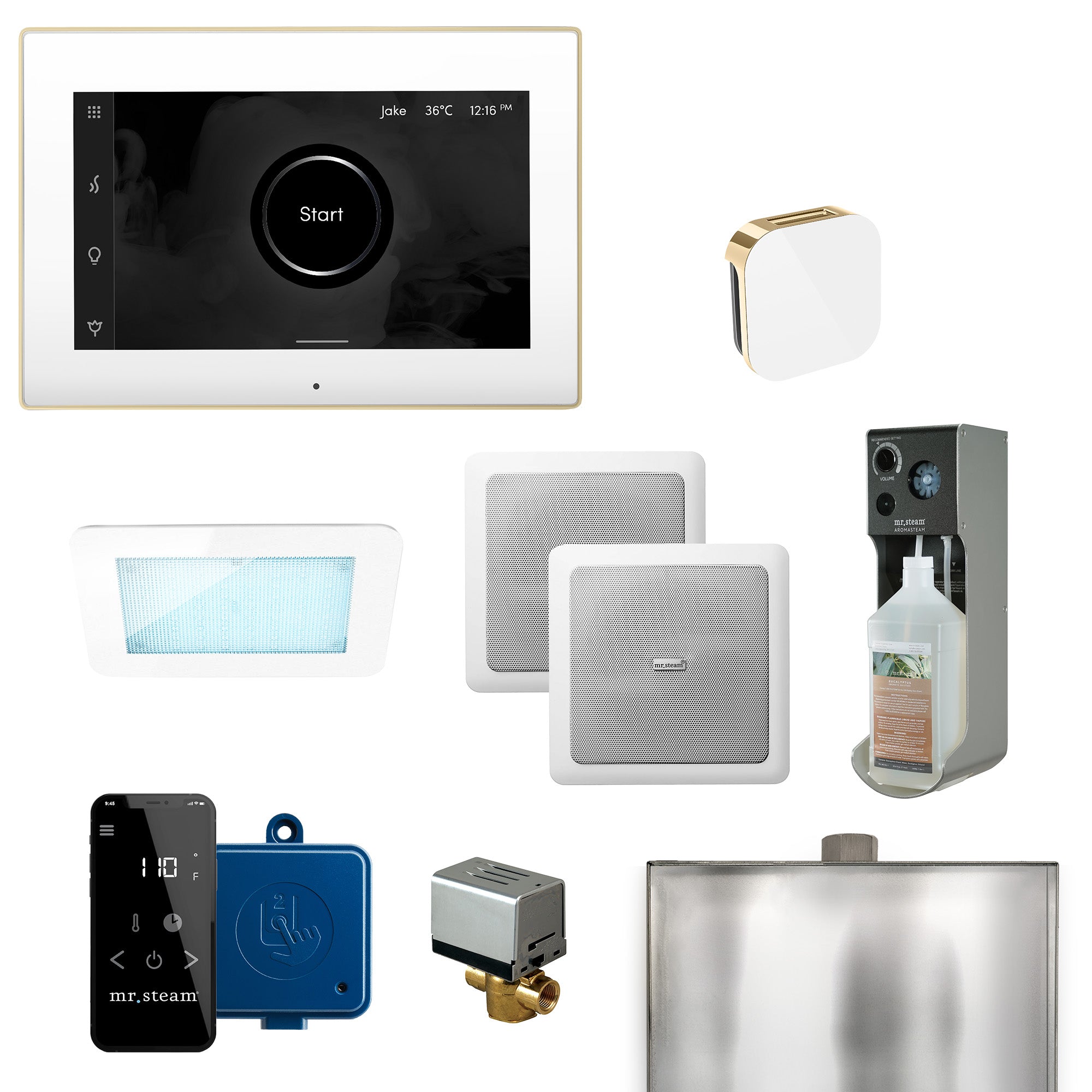 Mr Steam XDream Programmable Steam Generator Control Kit with iSteamX Control and Aroma Glass Steamhead