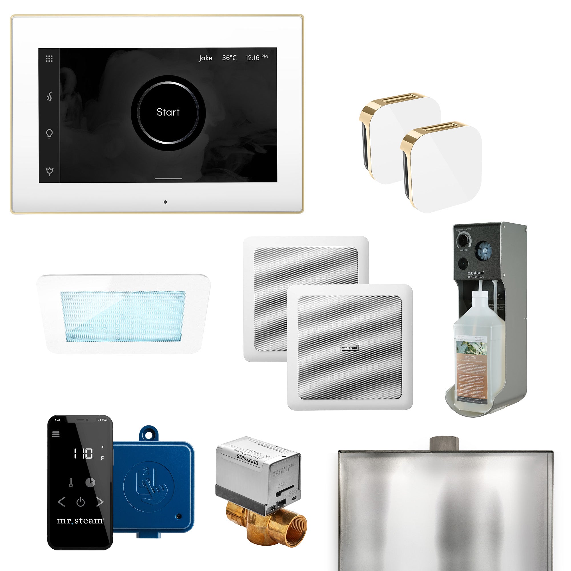 Mr Steam XDream Max Programmable Steam Generator Control Kit with iSteamX Control and Aroma Glass Steamhead