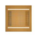 HydroVive 14 Rainhead - Antique Brass (Square - Rain + Chromatherapy + Audiotherapy) 