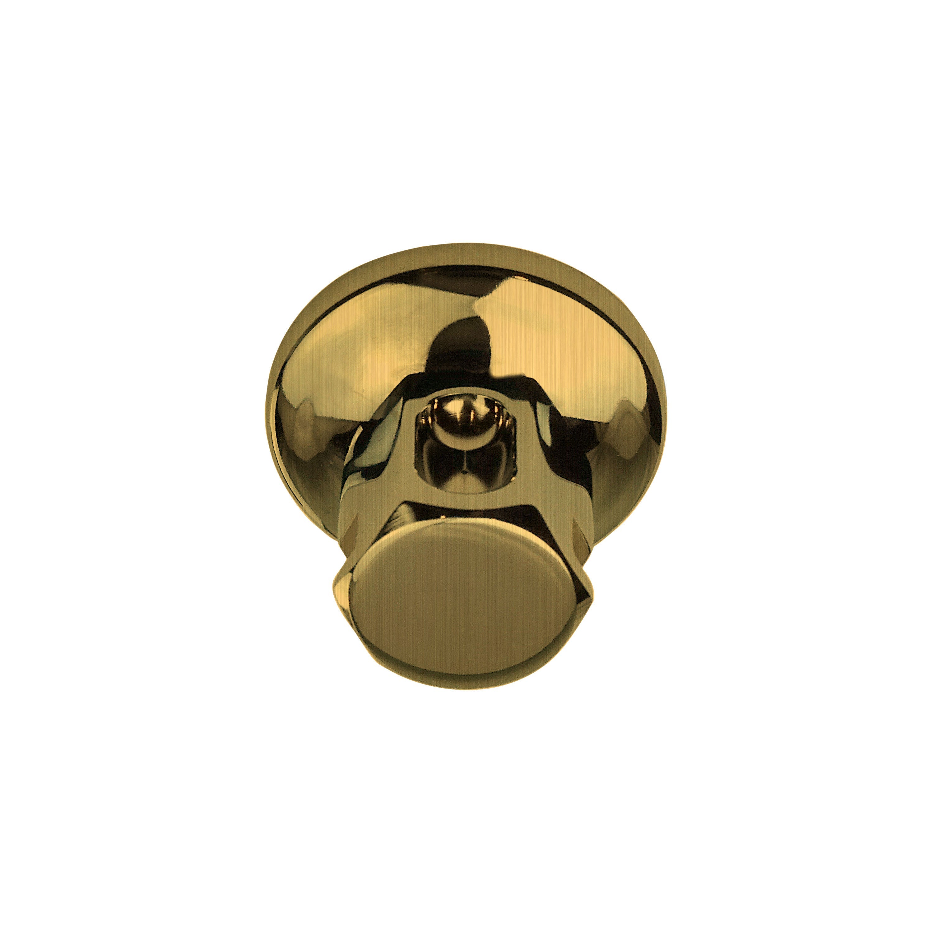 Legacy Steam Head - 1/2in Rough - Antique Brass