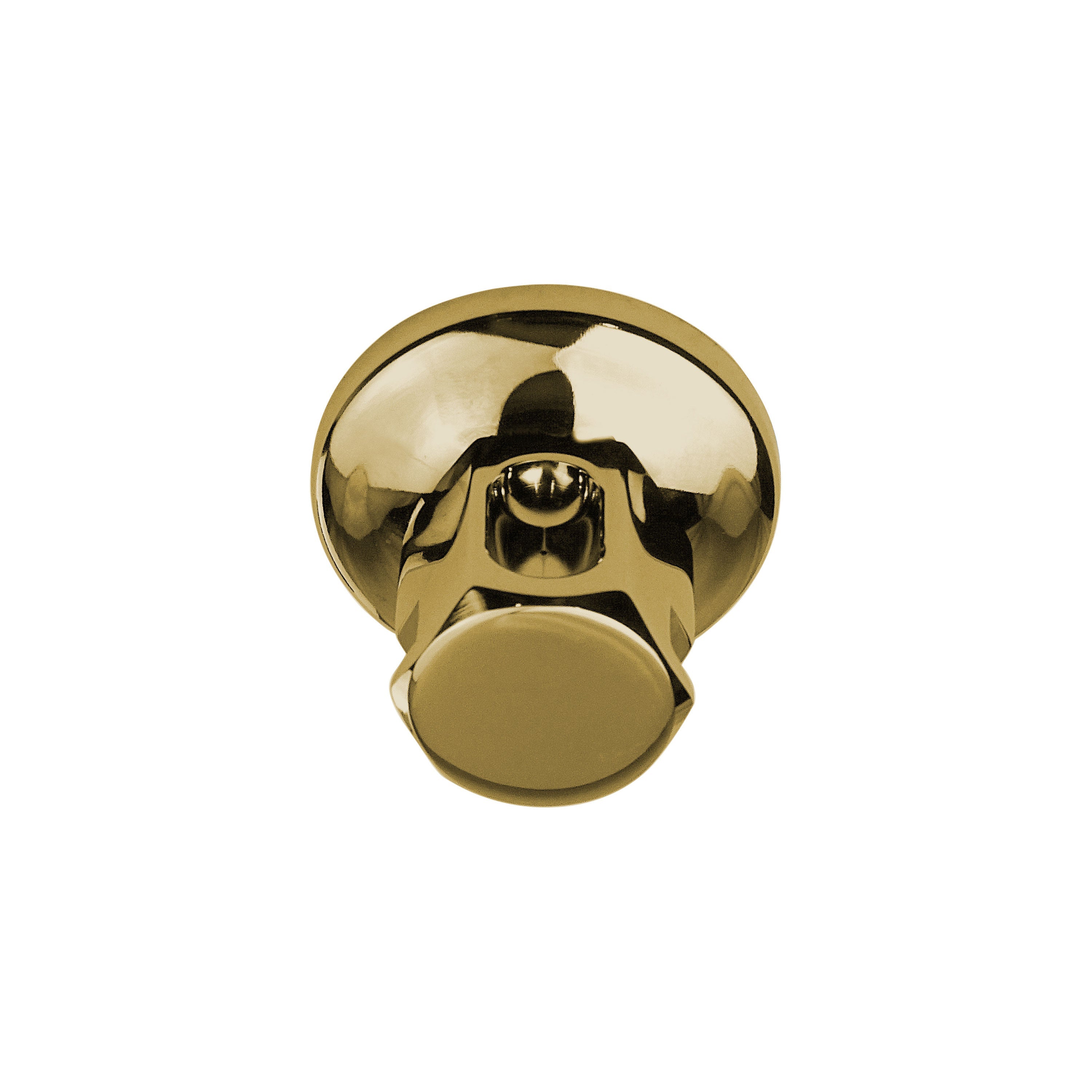 Legacy Steam Head - 1/2in Rough - Polished Brass