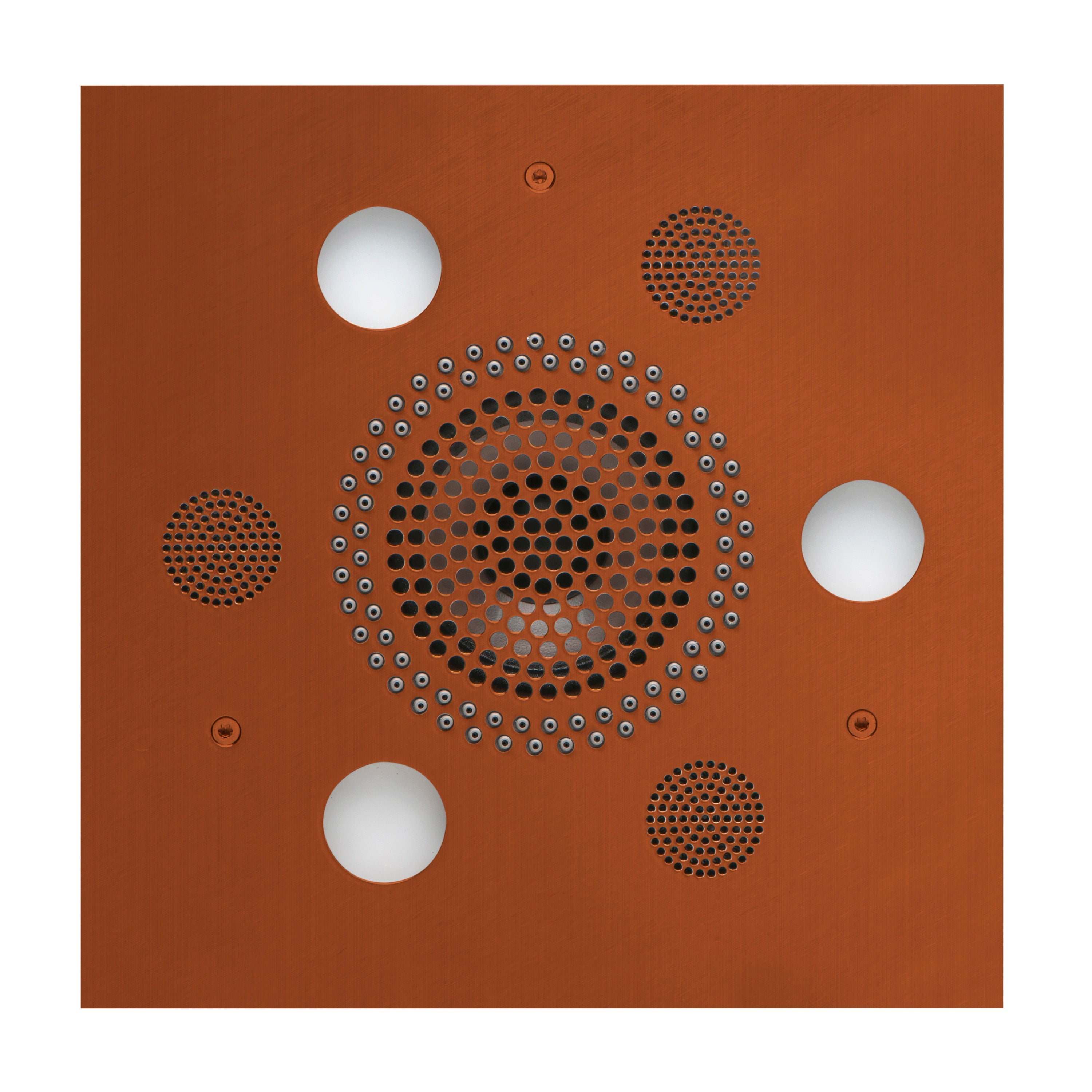 Serenity Advanced Rainhead
