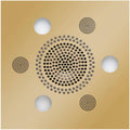 ThermaSol Serenity Light, Sound, Rain System Square in Polished Brass Finish Polished Brass / Square ThermaSol slsrsq-pb.jpg
