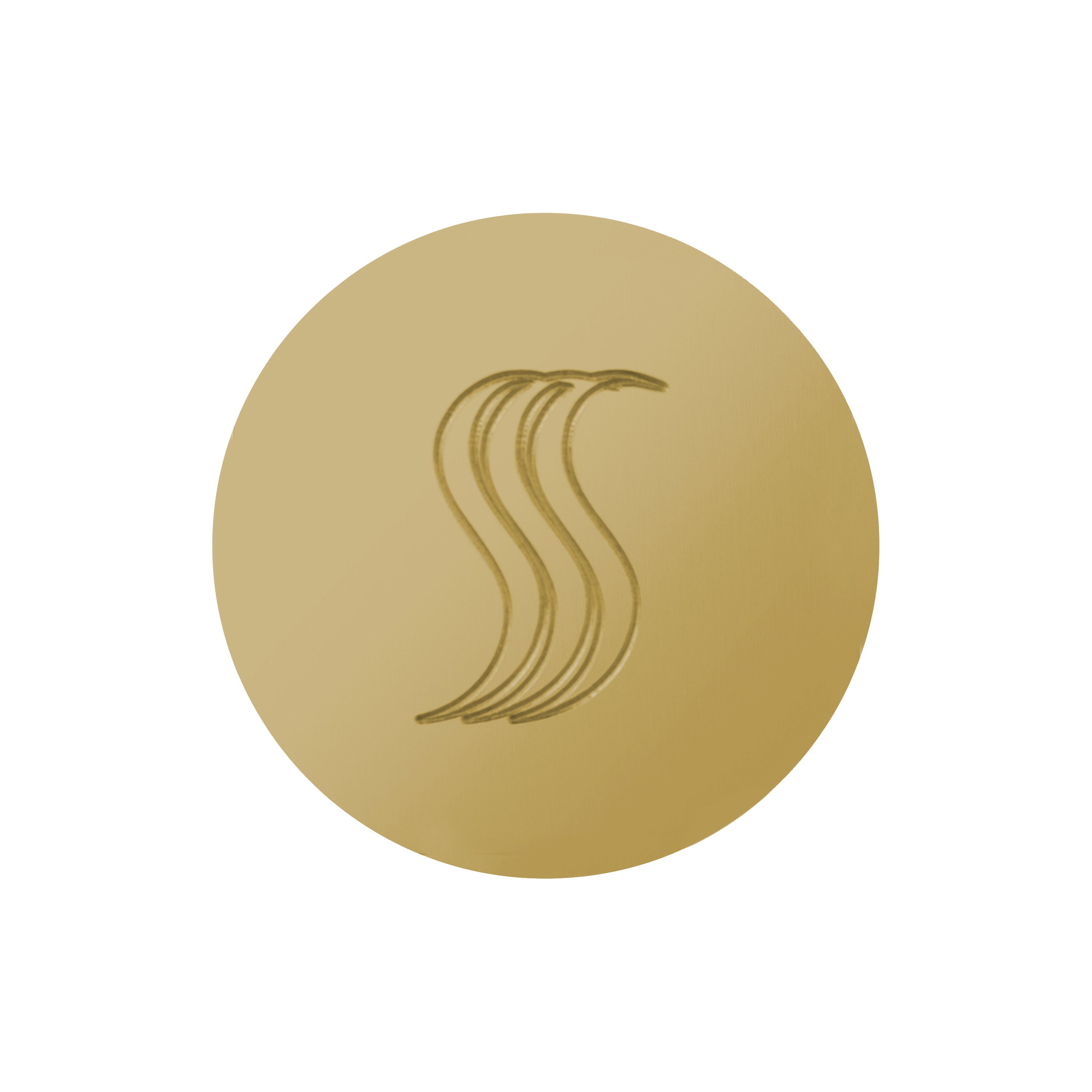 SteamVection Steam Head - Round - Polished Brass
