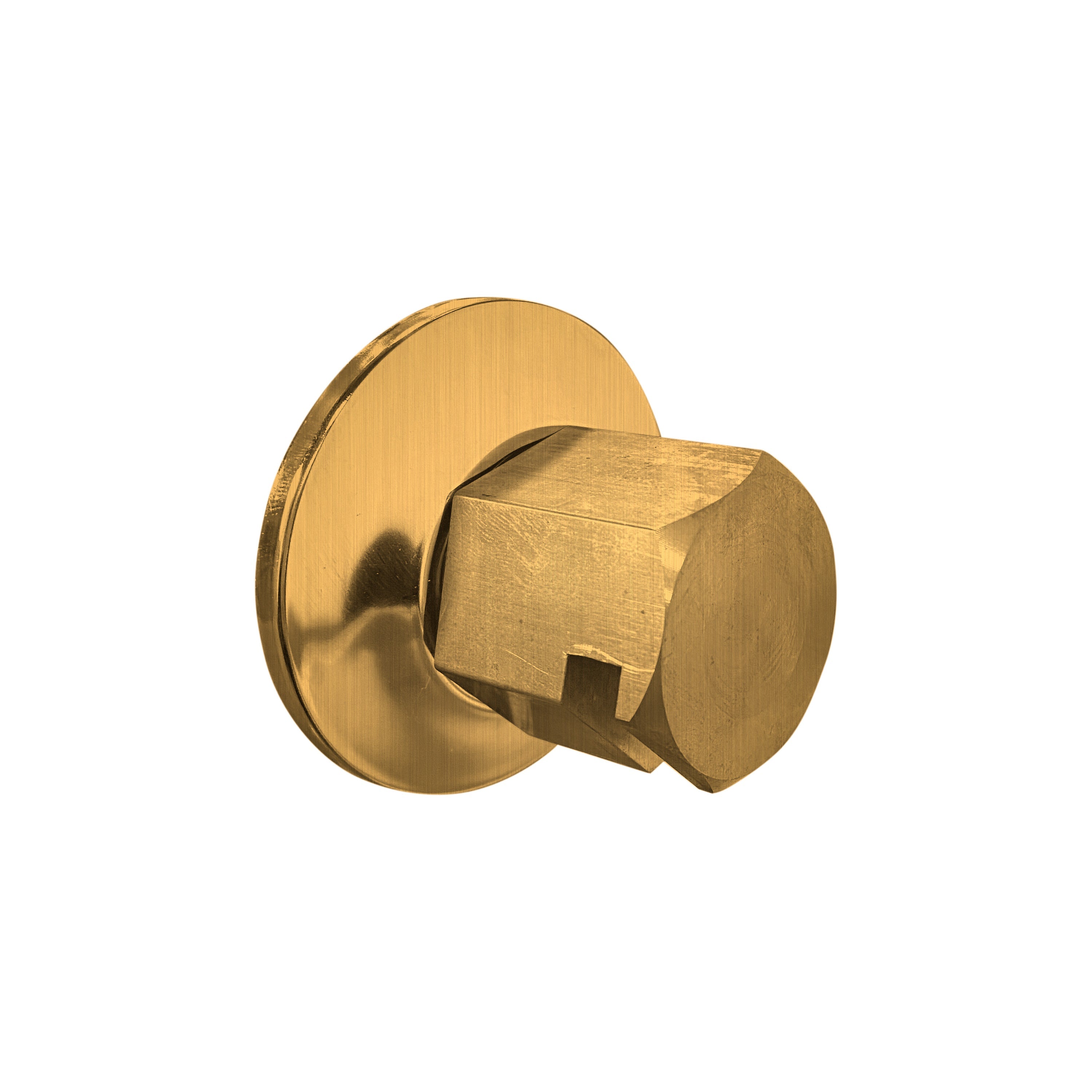 Legacy Steam Head - 3/4in Rough - Antique Brass
