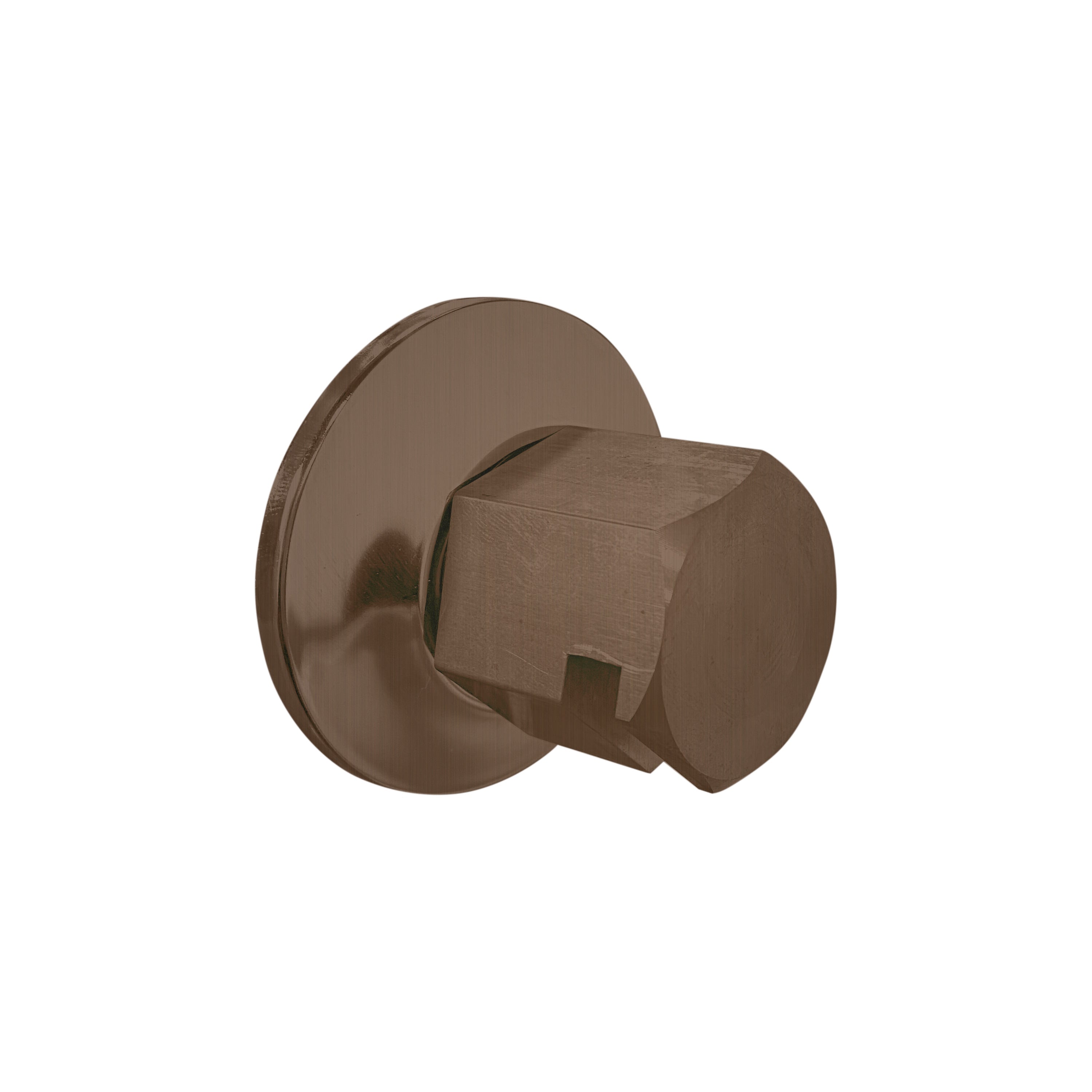 Legacy Steam Head Two-Spray / Oil Rubbed Bronze Thermasol tss-orb.jpg