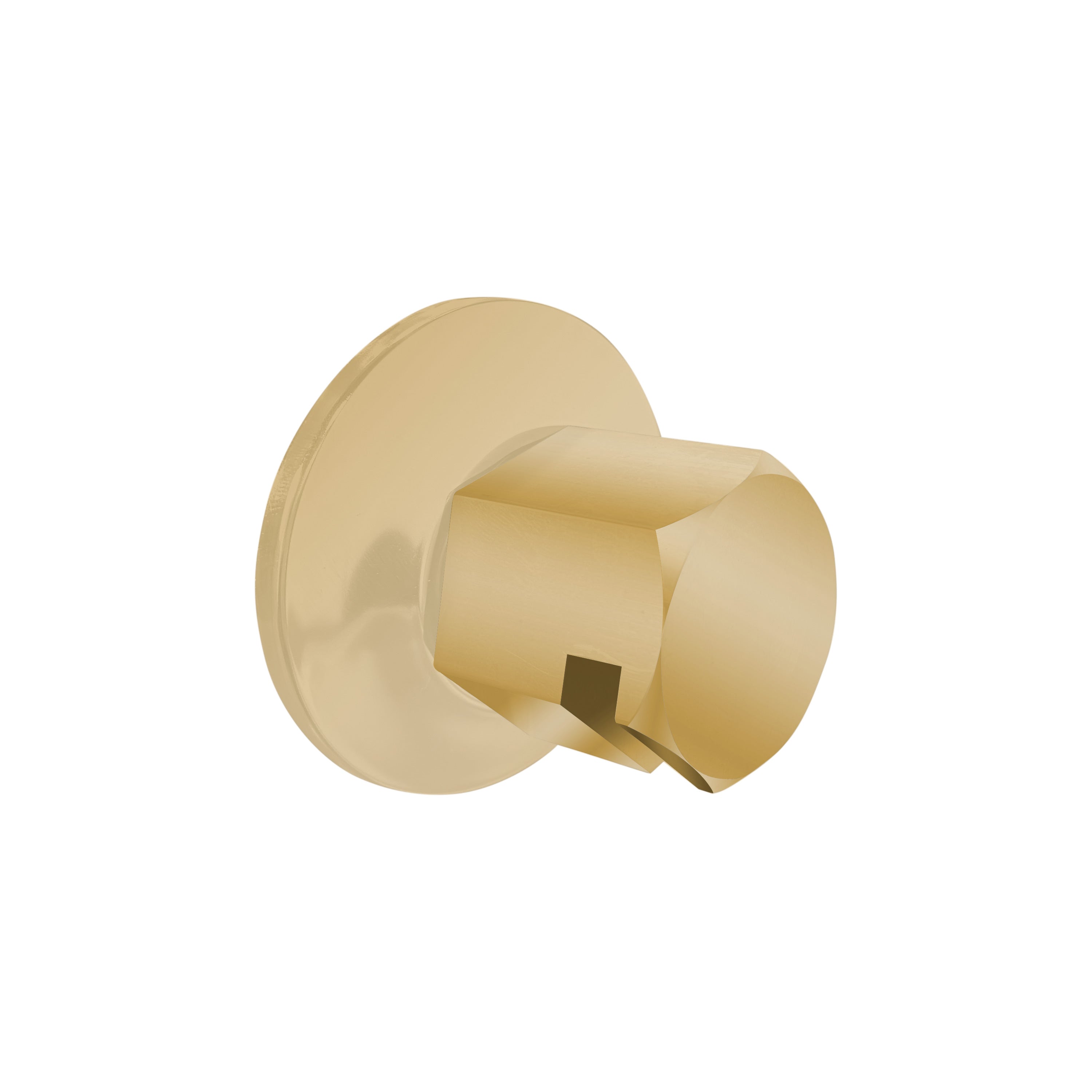 Legacy Steam Head Two-Spray / Polished Brass Thermasol tss-pb.jpg