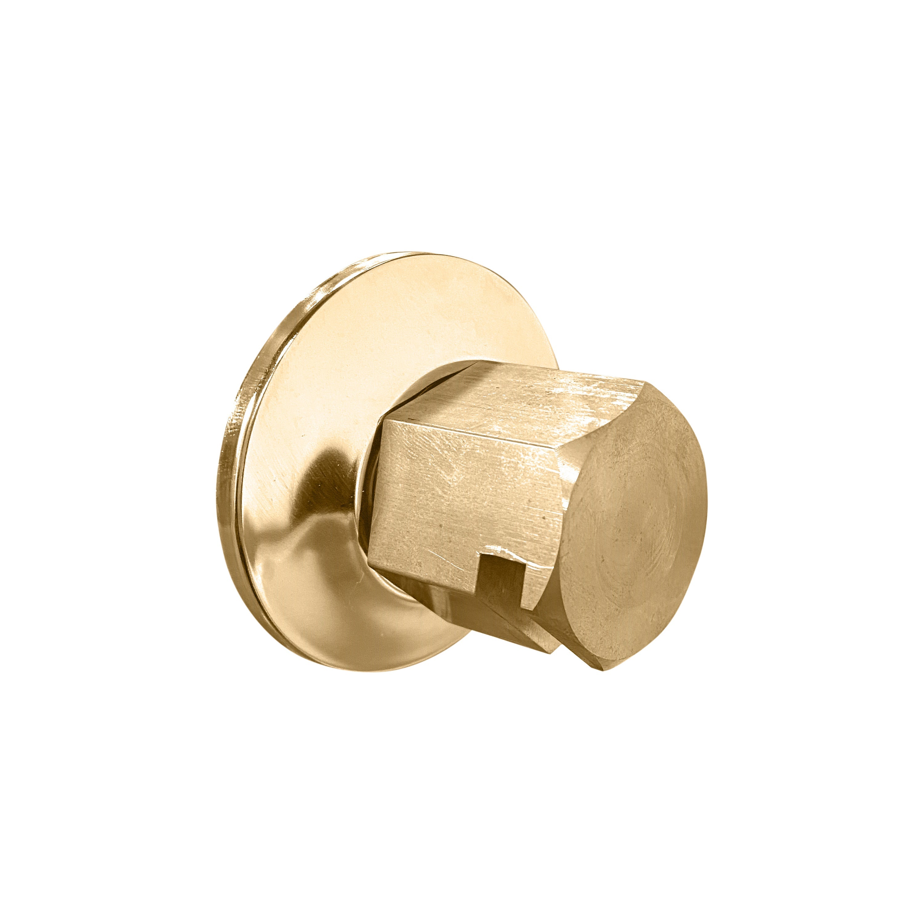 Legacy Steam Head Two-Spray / Satin Brass Thermasol tss-sb.jpg