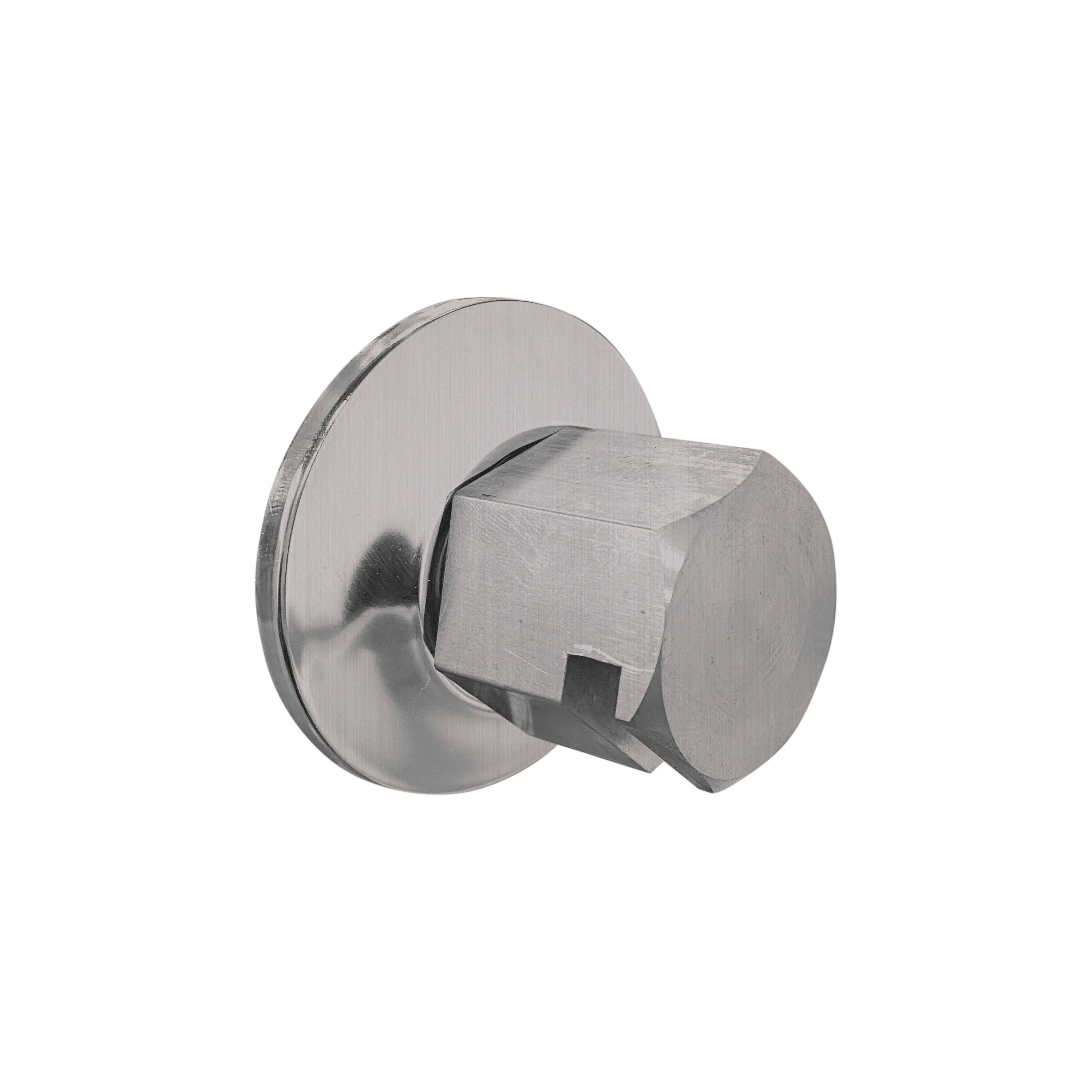 Legacy Steam Head - 3/4in Rough - Satin Chrome