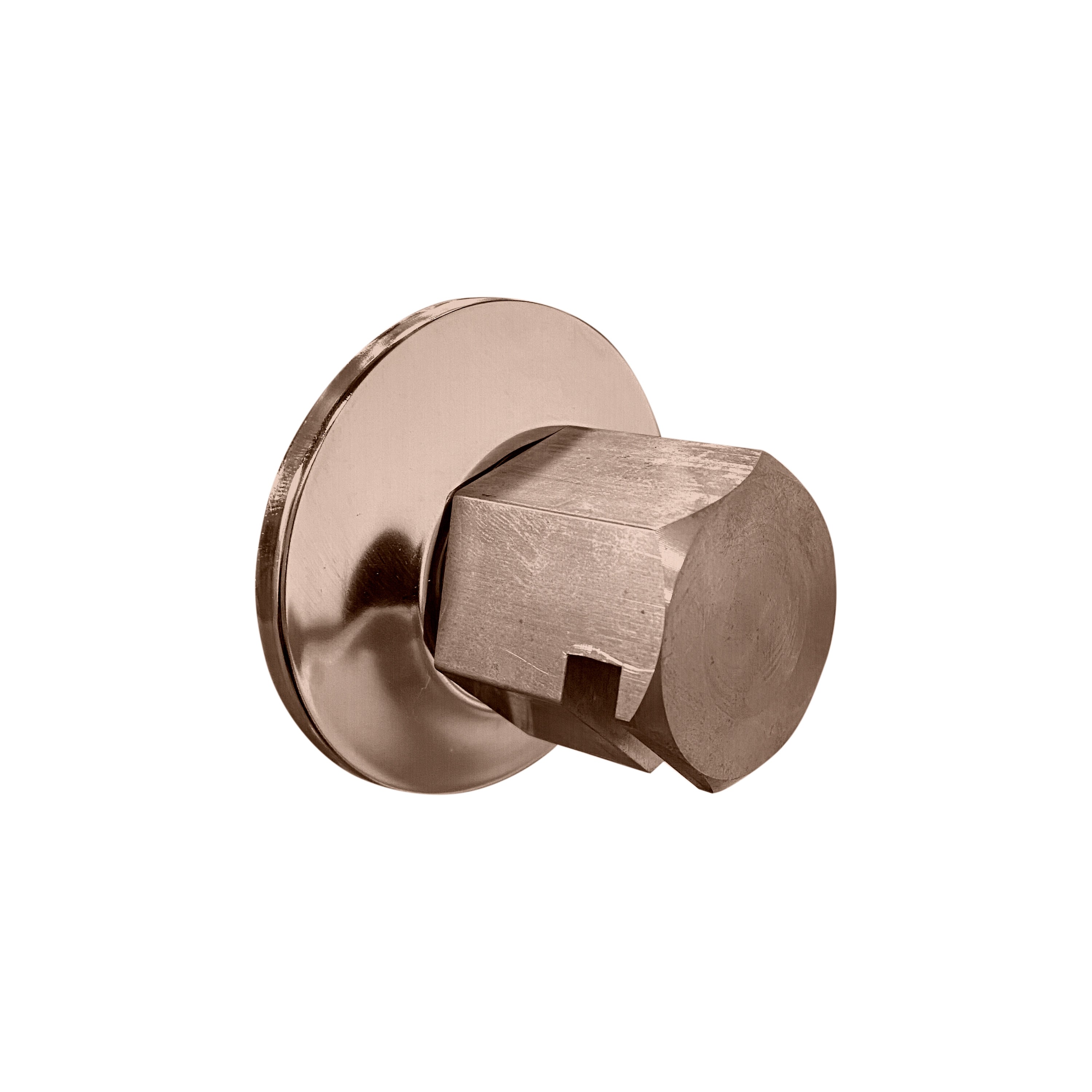 Legacy Steam Head Two-Spray / Satin Nickel Thermasol tss-sn.jpg